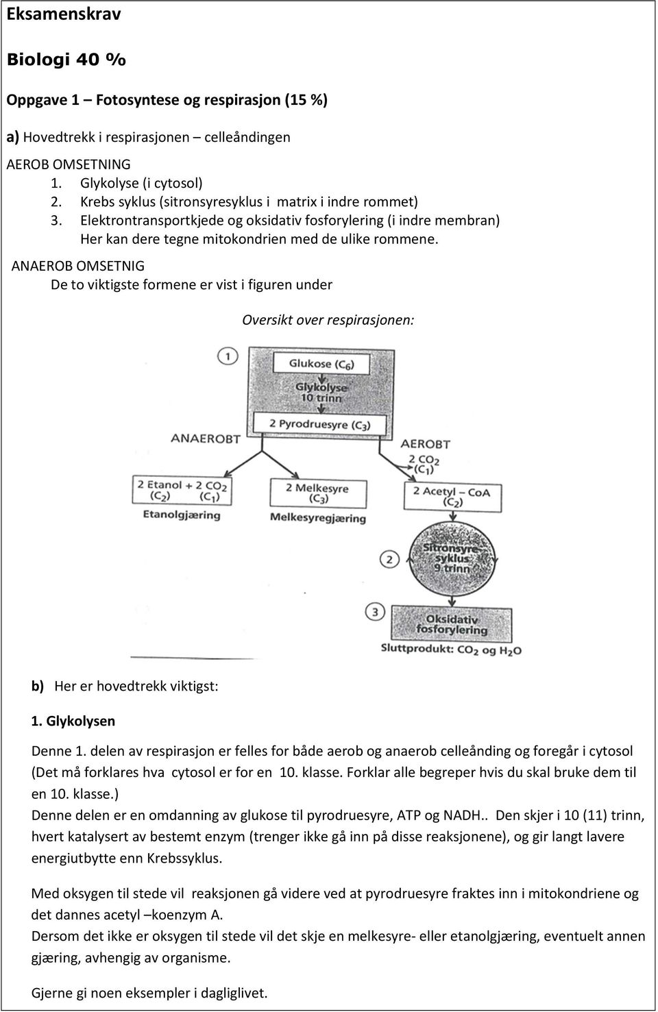 ANAEROB OMSETNIG De to viktigste formene er vist i figuren under Oversikt over respirasjonen: b) Her er hovedtrekk viktigst: 1. Glykolysen Denne 1.