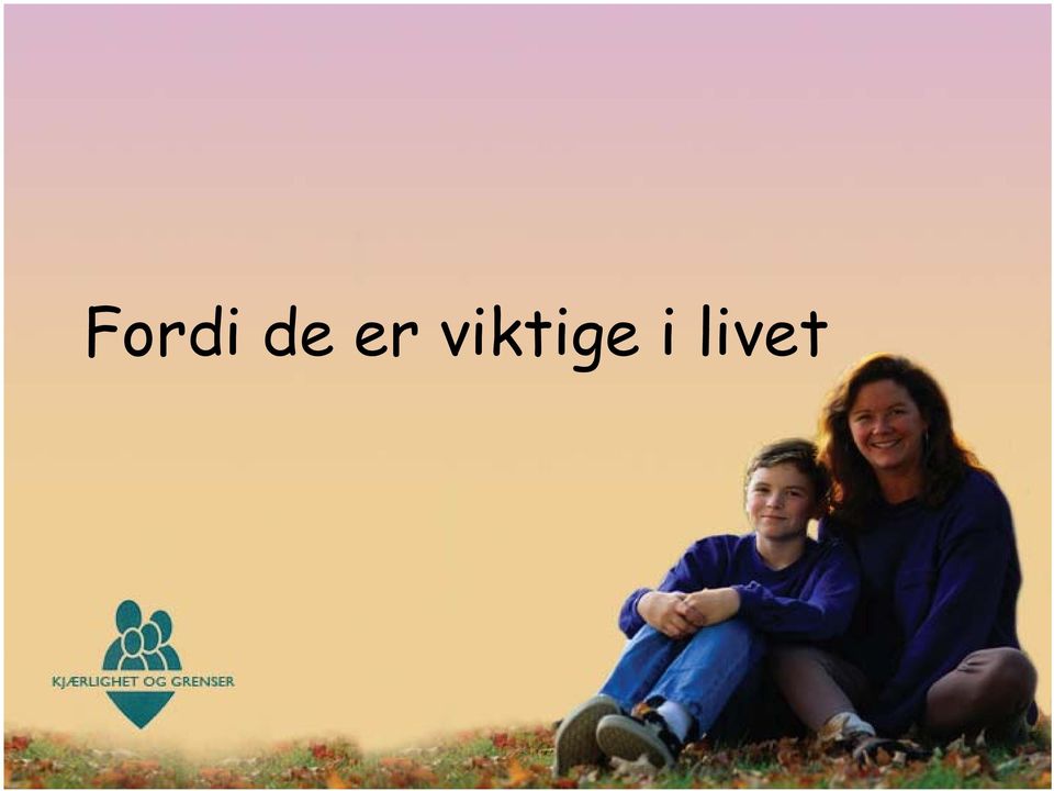 de er viktige i