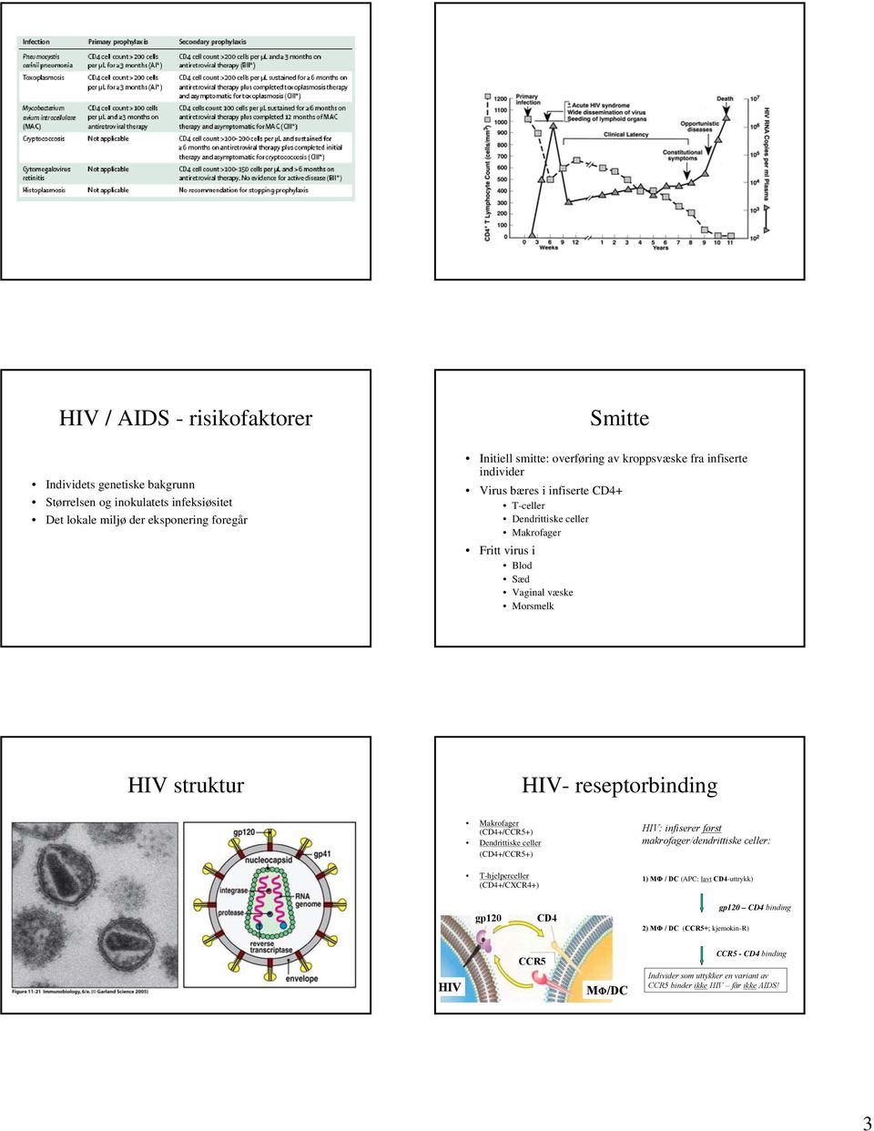 reseptorbinding Makrofager (CD4+/CCR5+) Dendrittiske celler (CD4+/CCR5+) T-hjelperceller (CD4+/CXCR4+) HIV: infiserer først makrofager/dendrittiske celler: 1) MΦ / DC (APC: