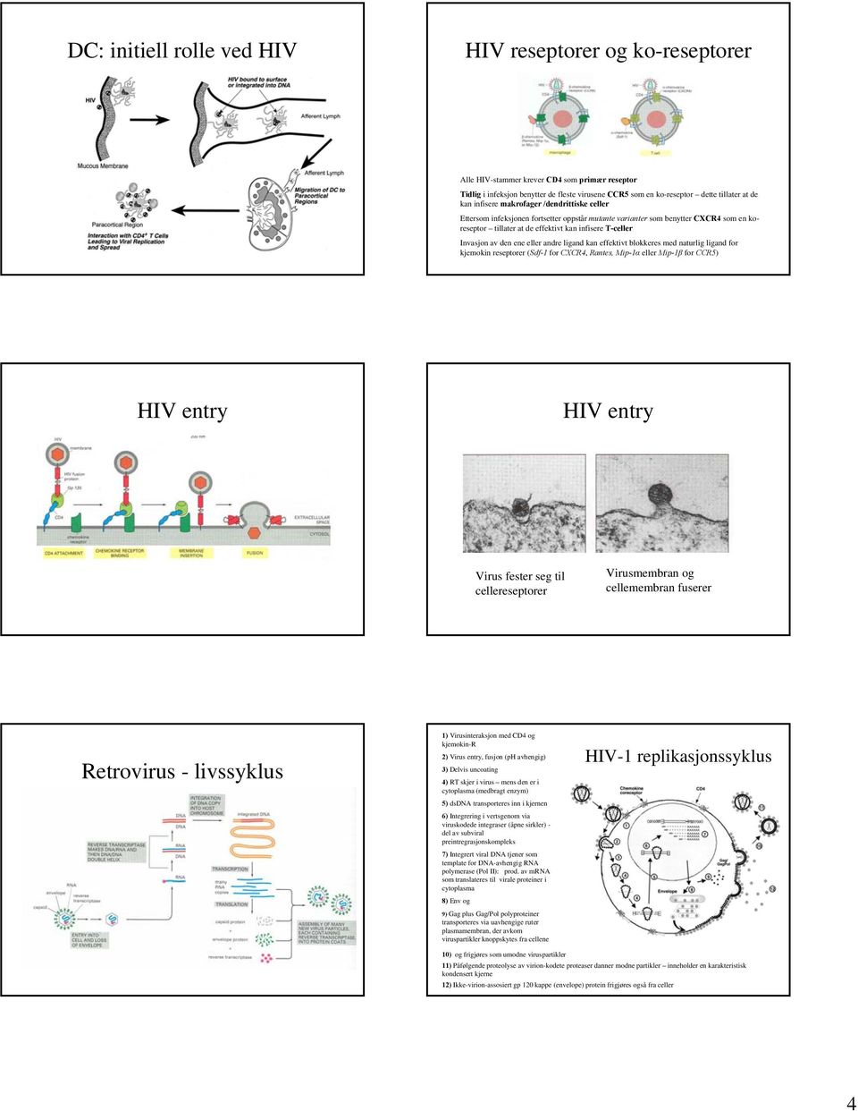 den ene eller andre ligand kan effektivt blokkeres med naturlig ligand for kjemokin reseptorer (Sdf-1 for CXCR4, Rantes, Mip-1α eller Mip-1β for CCR5) HIV entry HIV entry Virus fester seg til