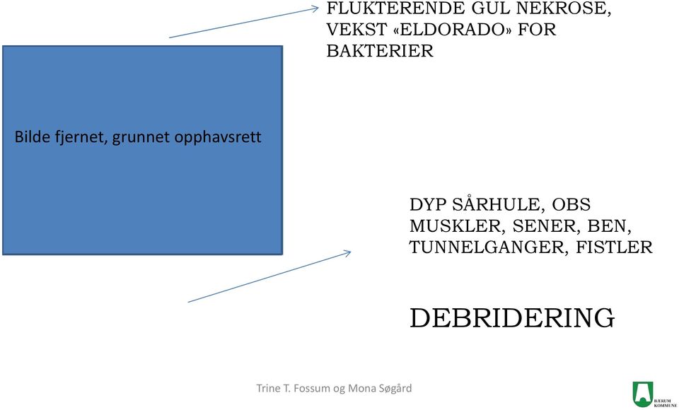 grunnet opphavsrett DYP SÅRHULE, OBS