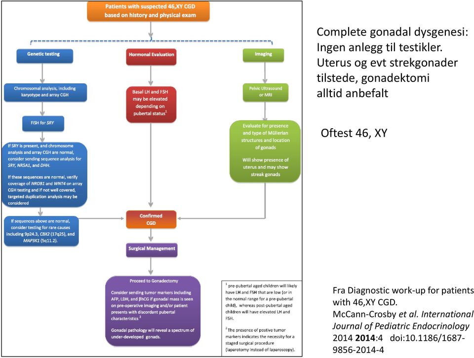 46, XY Fra Diagnostic work-up for patients with 46,XY CGD.