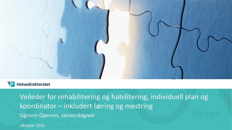 Veileder om rehabilitering habilitering individuell plan og koordinator