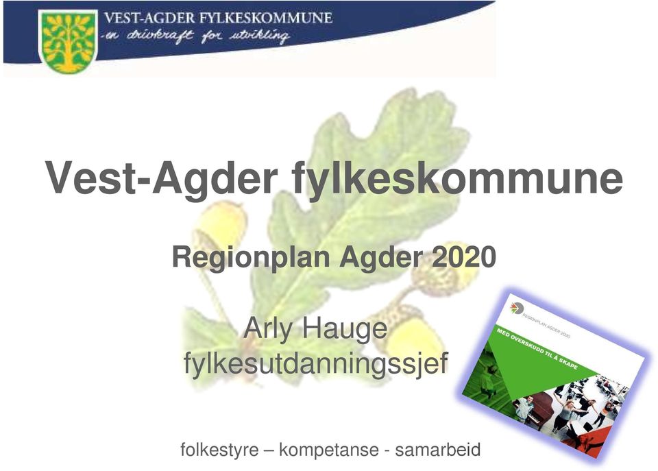 Hauge fylkesutdanningssjef