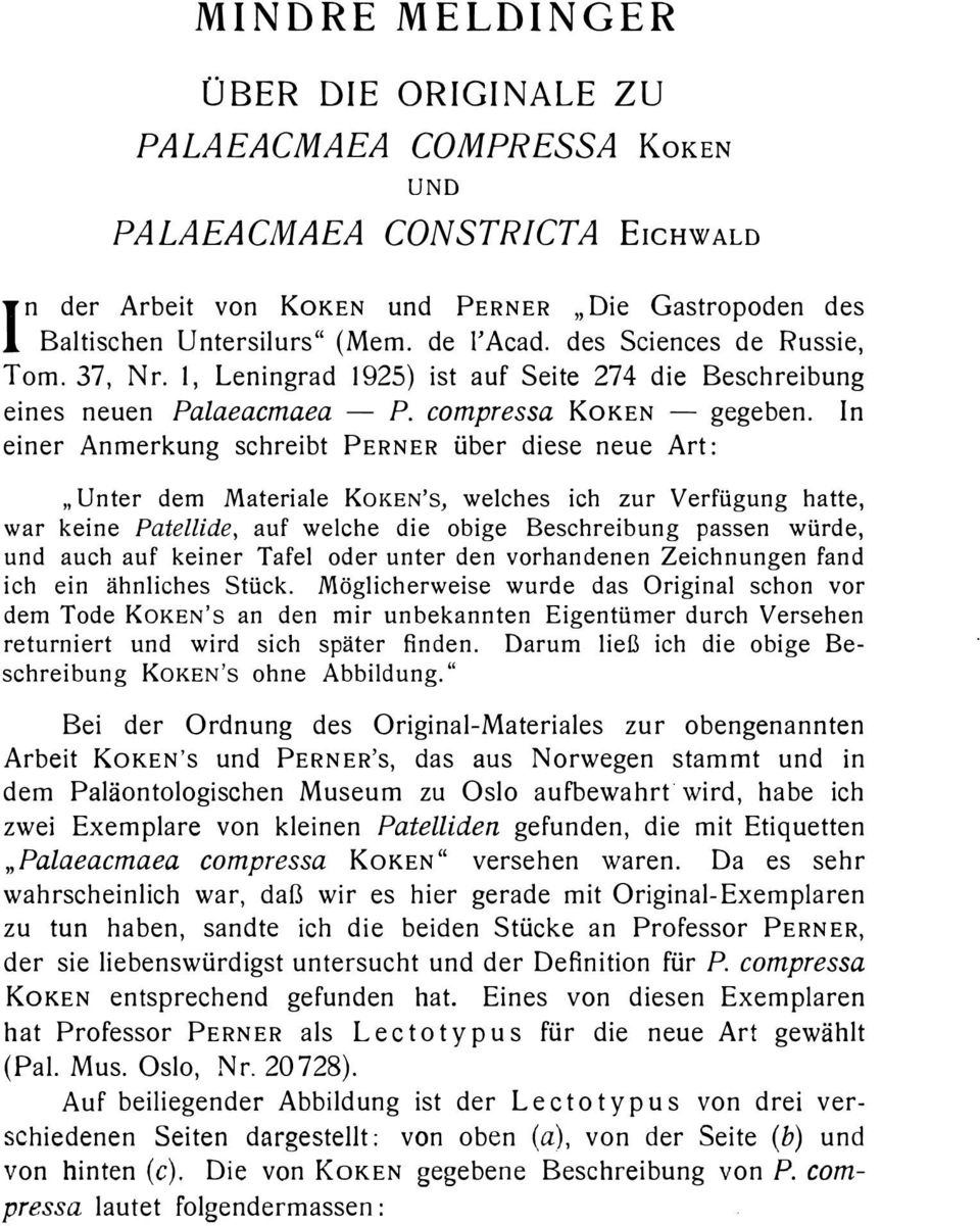 einer Anmerkung schreibt PERNER über diese neue Art: "Unter dem Materiale KOKEN's, welches ich zur Verfügung hatte, war keine Patellide, auf welche die obige Beschreibung passen würde, und auch auf