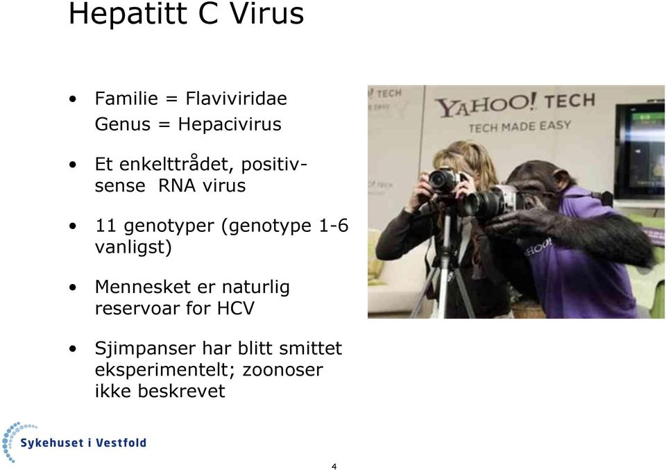 (genotype 1-6 vanligst) Mennesket er naturlig reservoar for