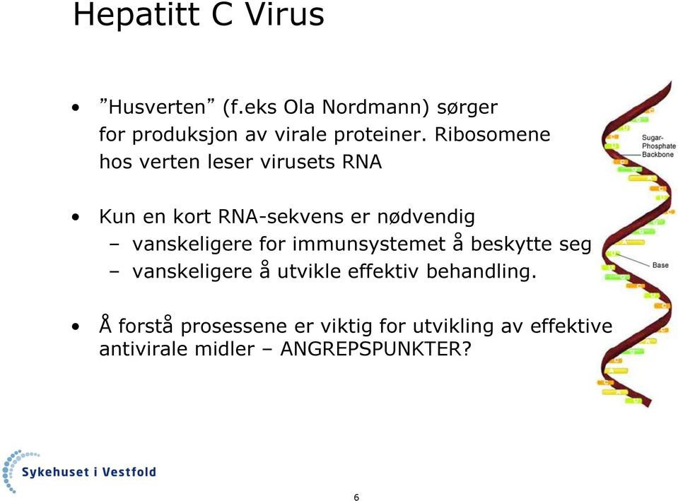 Ribosomene hos verten leser virusets RNA Kun en kort RNA-sekvens er nødvendig