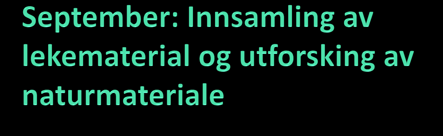 Pinner sorteres, sammenlignes og måles.