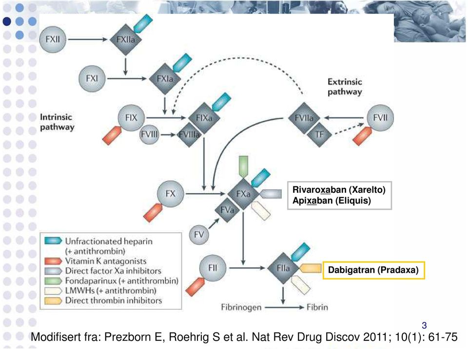 Prezborn E, Roehrig S et al.