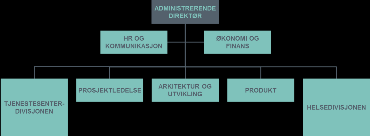 13 Figur 3 Organisering av tjenestesenteret som divisjon i NHN I forbindelse med organiseringen av tjenestesenteret vil NHN i størst mulig grad gjenbruke eksisterende roller (se under) som er