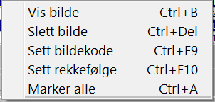 Primus Brukerveiledning for masseimport av bilder 8 Det er mulig å gå inn i tabellen og endre verdier for rekkefølge og bildekode.