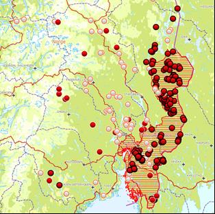 14 Fig. 6. Ulveflokker og revirmarkerende par av ulv i Skandinavia i perioden 1.oktober 28. februar i årene 1998/99 2014/15. Antatt/dokumentert ulv Usikker ulv Feilmelding/ukjent Fig 7.