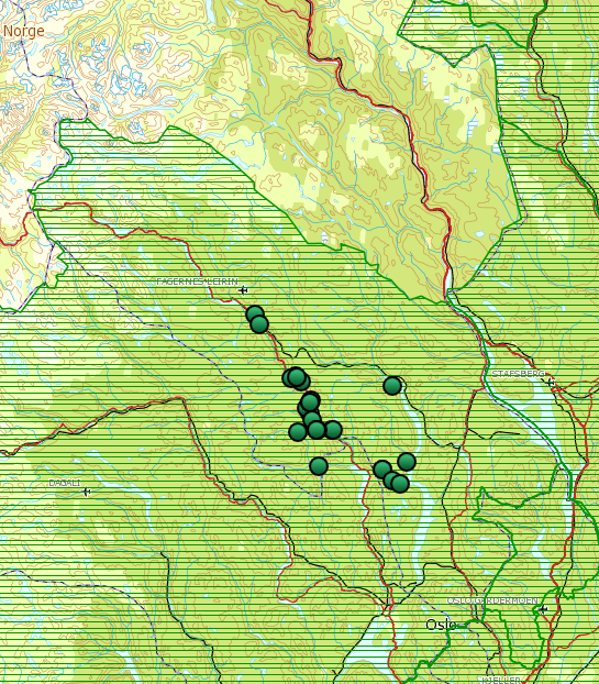 Fig 4. Antall registrerte familiegrupper av gaupe i Oppland 1996-2015. For 2015/16 er tallene ikke klare, men regstreringene går fram av fig 3.. Fig 3.
