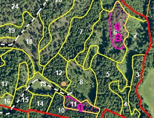 informasjon om volum og tilvekst Skogbruksplan leveres i perm med kart og flyfoto Digital skogbruksplan, ALLMA
