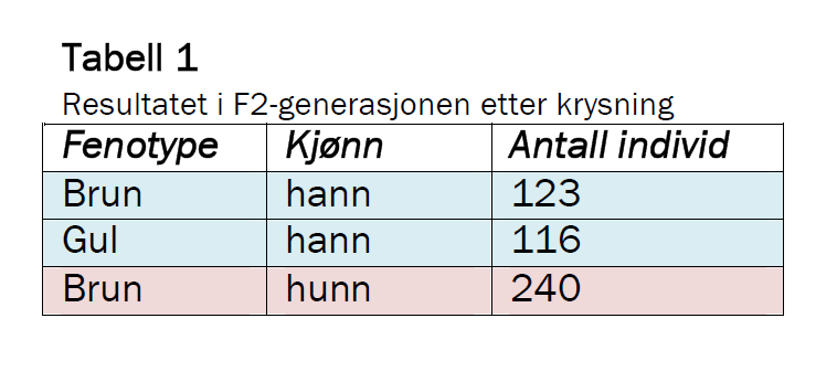 Allelet for gul kroppsfarge er A) recessivt og kjønnsbundet B) recessivt og ikke kjønnsbundet C) dominant og kjønnsbundet D) dominant og ikke kjønnsbundet Genetikk 34 (oppgave x -