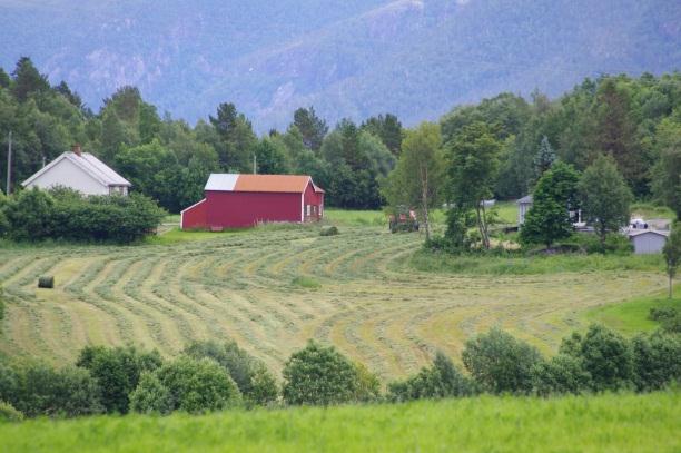 Økning i leie i norsk landbruk: bakgrunn og