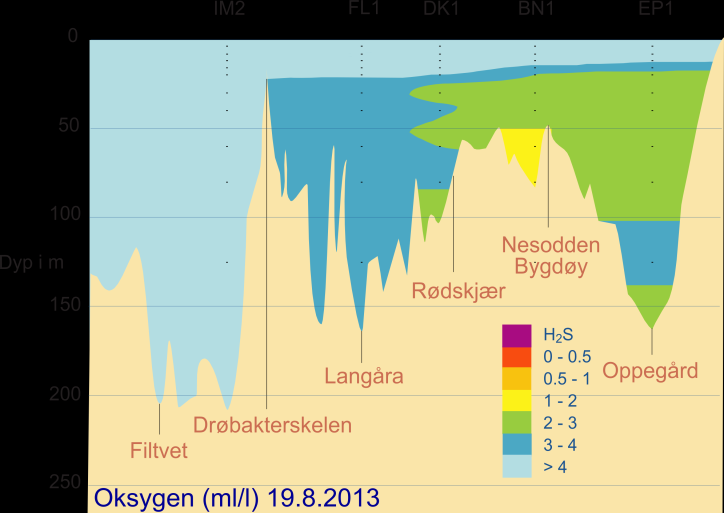 Oksygenforhold oktober 2013 Oksygenkonsentrasjonene har i de dypere deler av fjorden minsket på alle