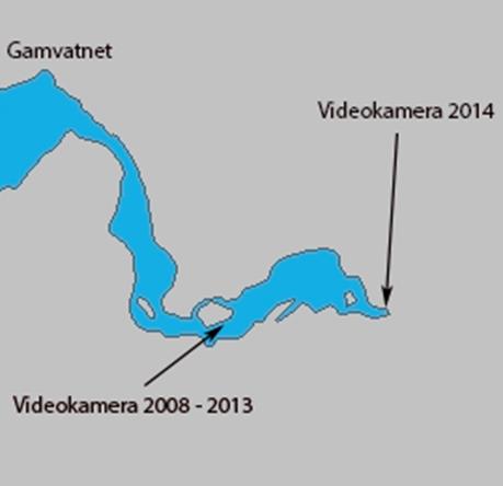 2 Beskrivelse av lokalitet med ledegjerdet For å overvåke en størst mulig del av en bestand av laks, sjøørret og sjørøye, er det ønskelig å plassere et overvåkingssystem for registrering av vandrende