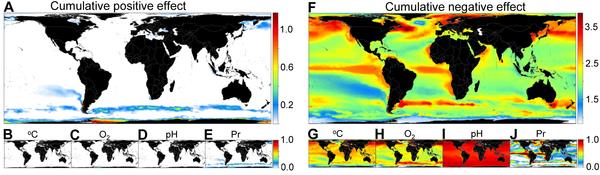 Cheung et al,