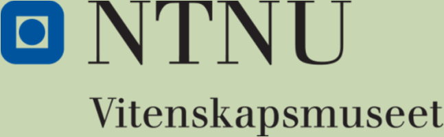 NTNU Vitenskapsmuseet er en enhet ved Norges teknisknaturvitenskapelige universitet, NTNU.