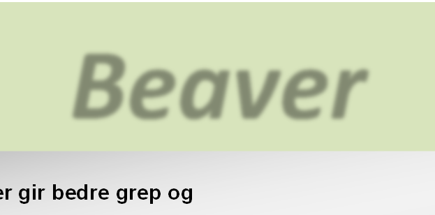 *TRYGG Beaver gir god dekkbeskyttelse, både på siden og i slitebanen. Flere dekkdimensjoner på forespørsel. Beaver Dekk Pris/ Varenr.