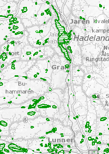 Viktige naturtyper Naturtyper som er spesielt viktig for biologisk mangfold Ikke heldekkende, kun et utvalg av alle naturtyper skal kartlegges