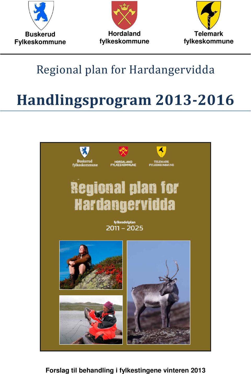 plan for Hardangervidda Handlingsprogram
