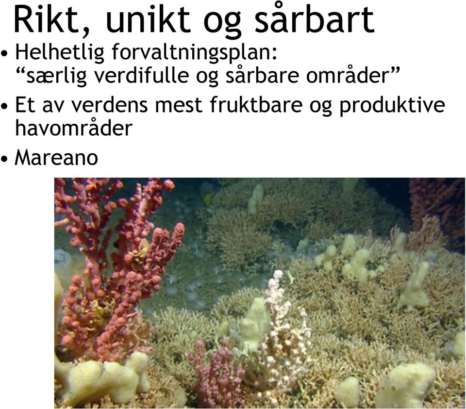 og sårbare områder Et av verdens mest