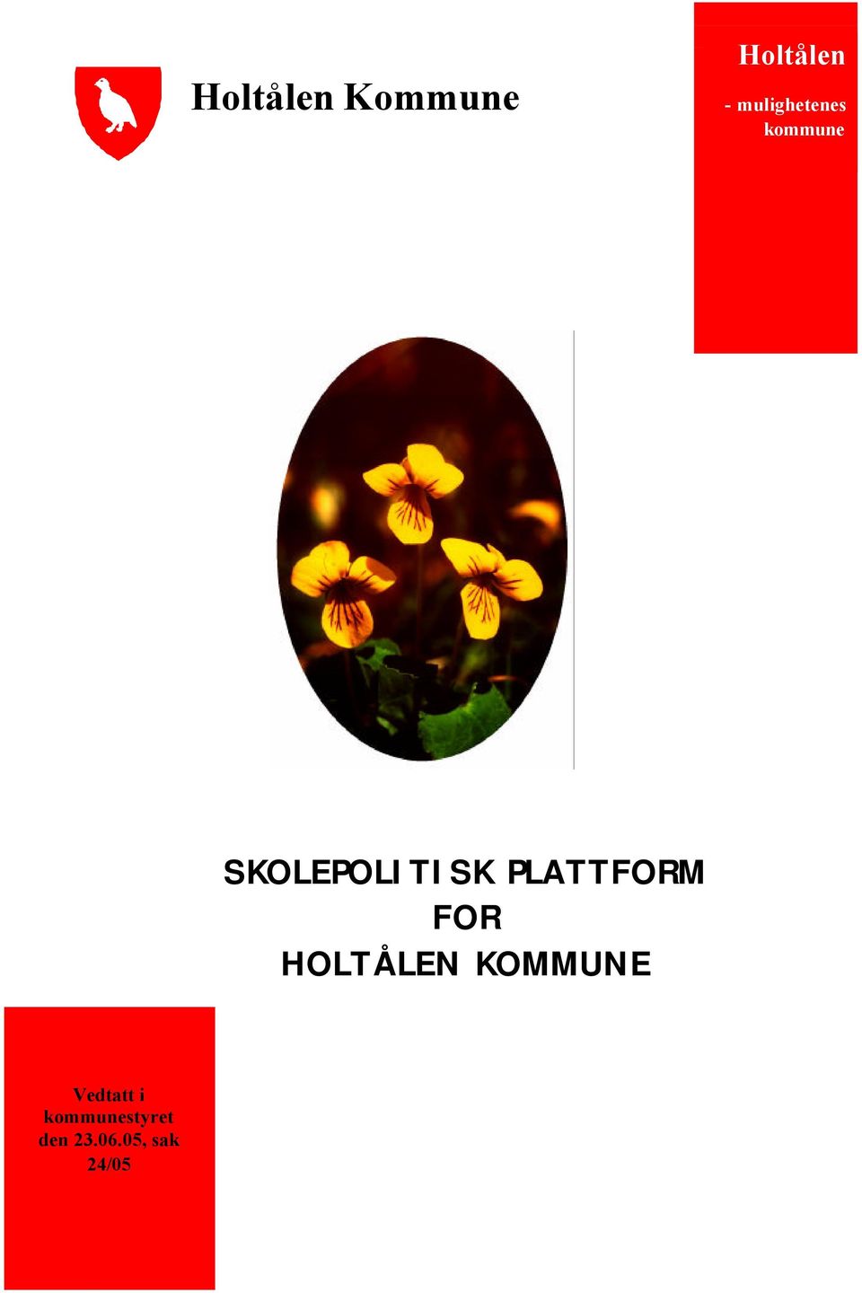 PLATTFORM FOR HOLTÅLEN KOMMUNE