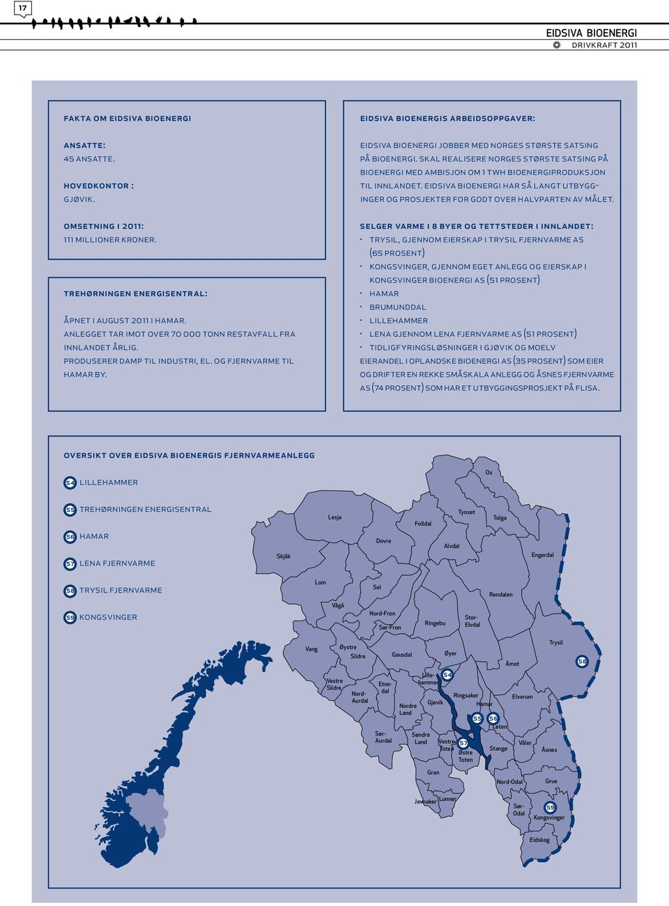 Eidsiva Bioenergis arbeidsoppgaver: Eidsiva Bioenergi jobber med Norges største satsing på bioenergi.