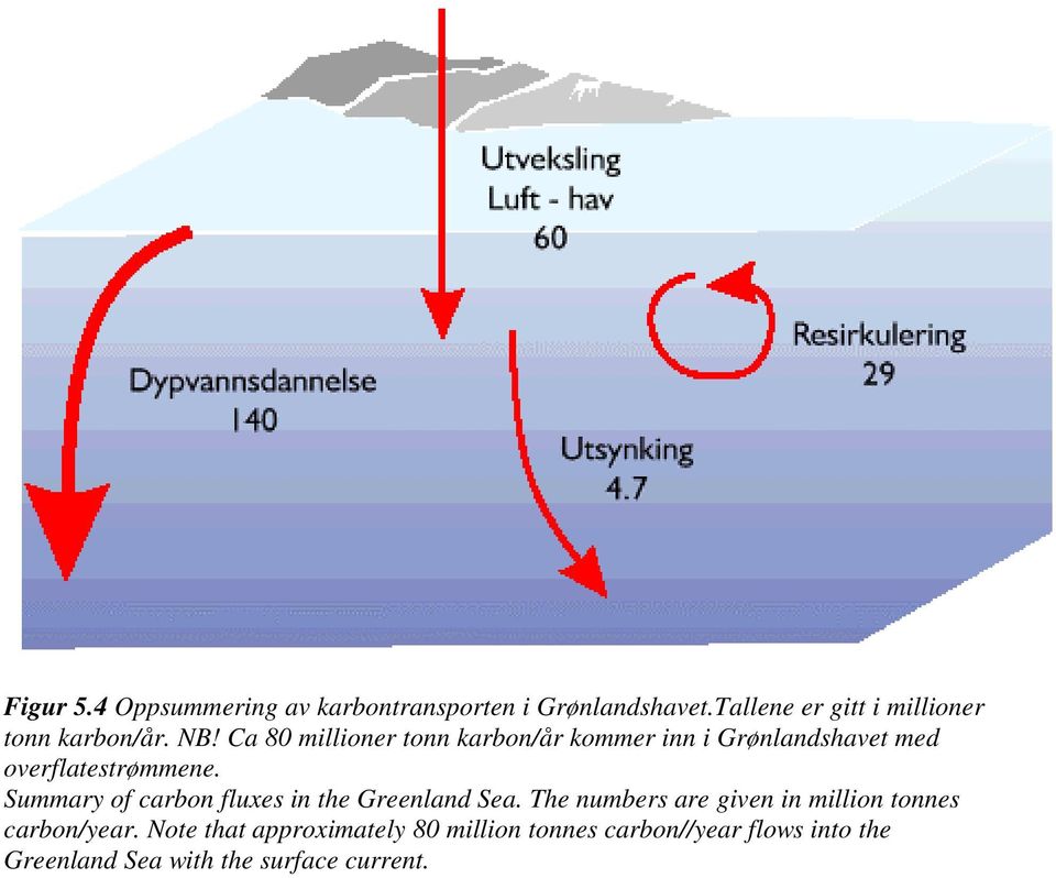 Ca 80 millioner tonn karbon/år kommer inn i Grønlandshavet med overflatestrømmene.