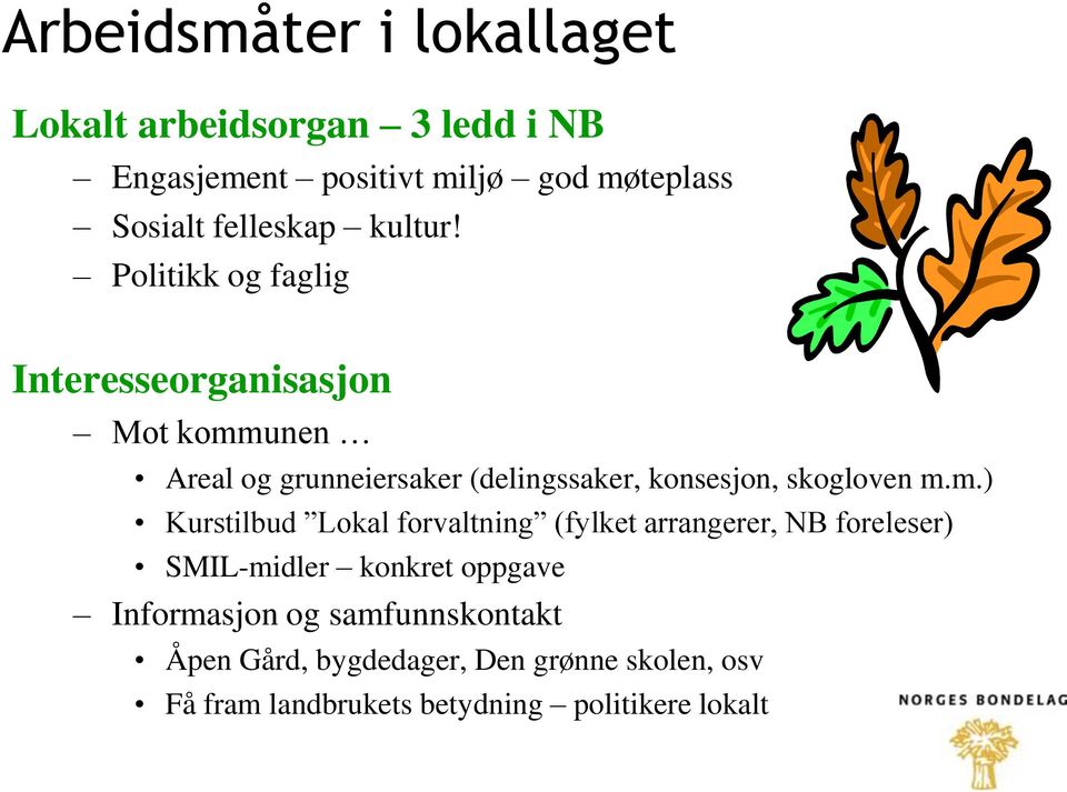 Politikk og faglig Interesseorganisasjon Mot kommunen Areal og grunneiersaker (delingssaker, konsesjon, skogloven