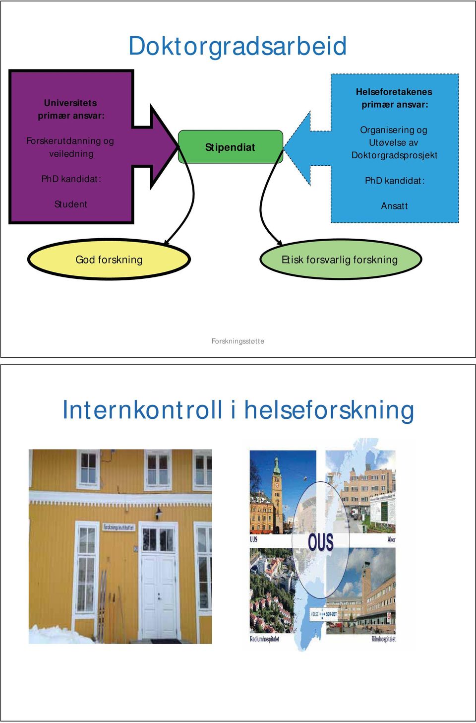 ansvar: Organisering og Utøvelse av Doktorgradsprosjekt PhD kandidat: