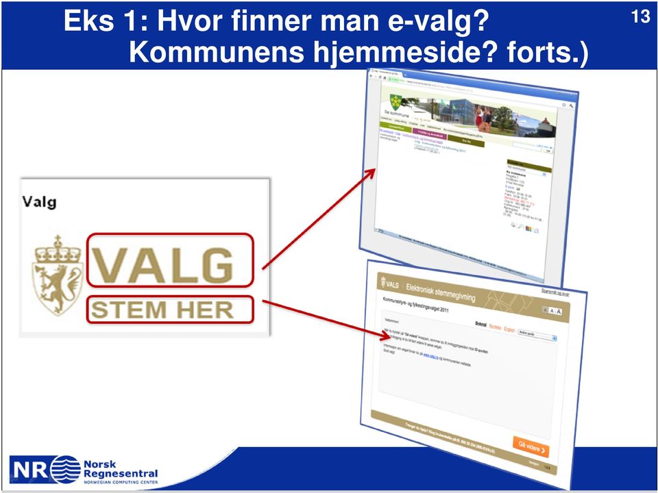 e-valg?