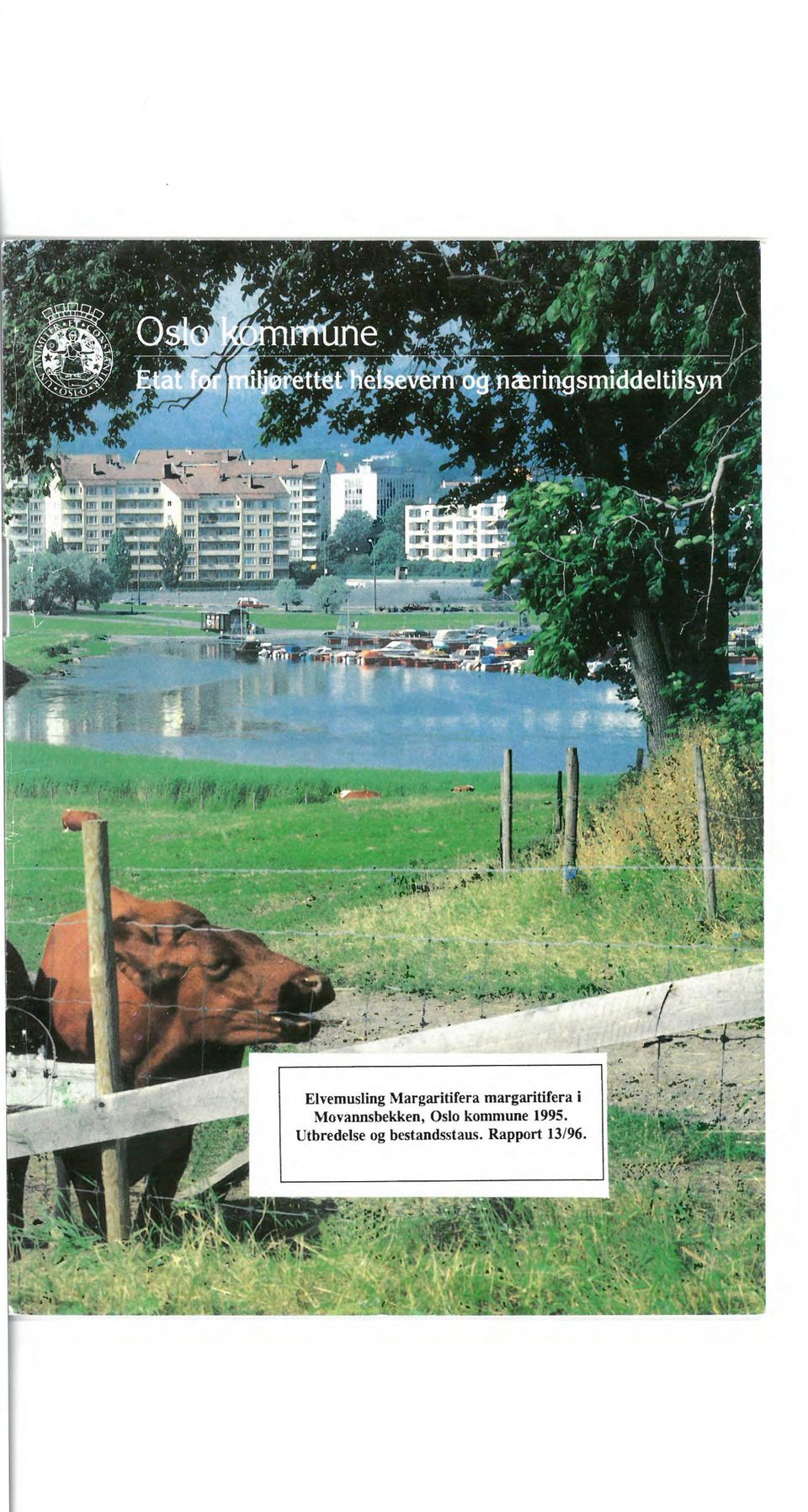 Oslo kommune 1995.