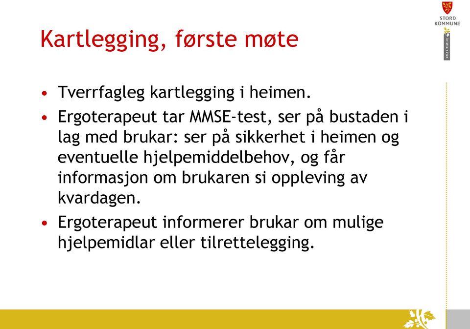 i heimen og eventuelle hjelpemiddelbehov, og får informasjon om brukaren si