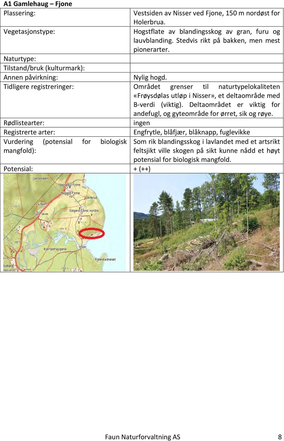 Deltaområdet er viktig for andefugl, og gyteområde for ørret, sik og røye.