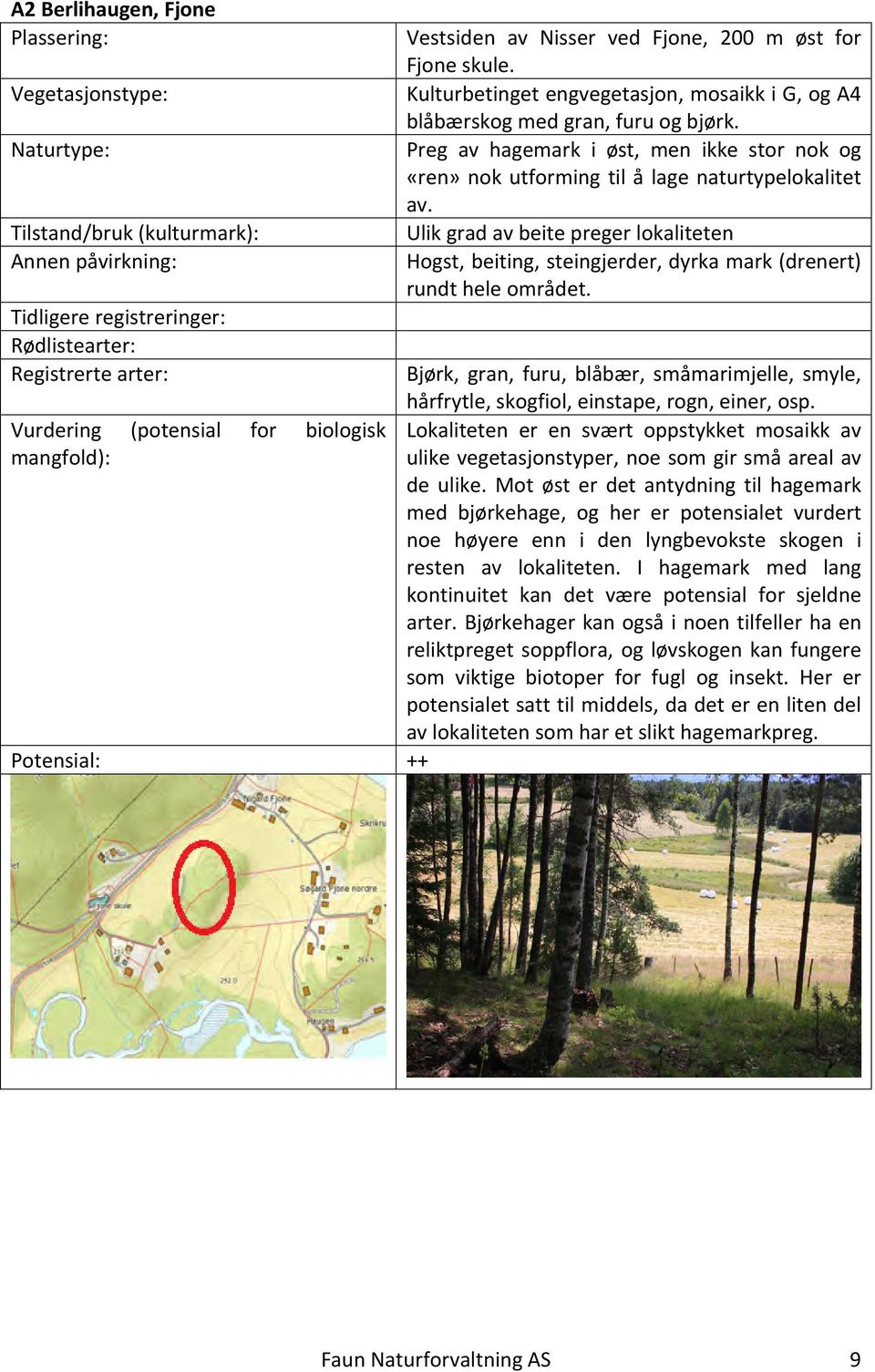 Ulik grad av beite preger lokaliteten Hogst, beiting, steingjerder, dyrka mark (drenert) rundt hele området.