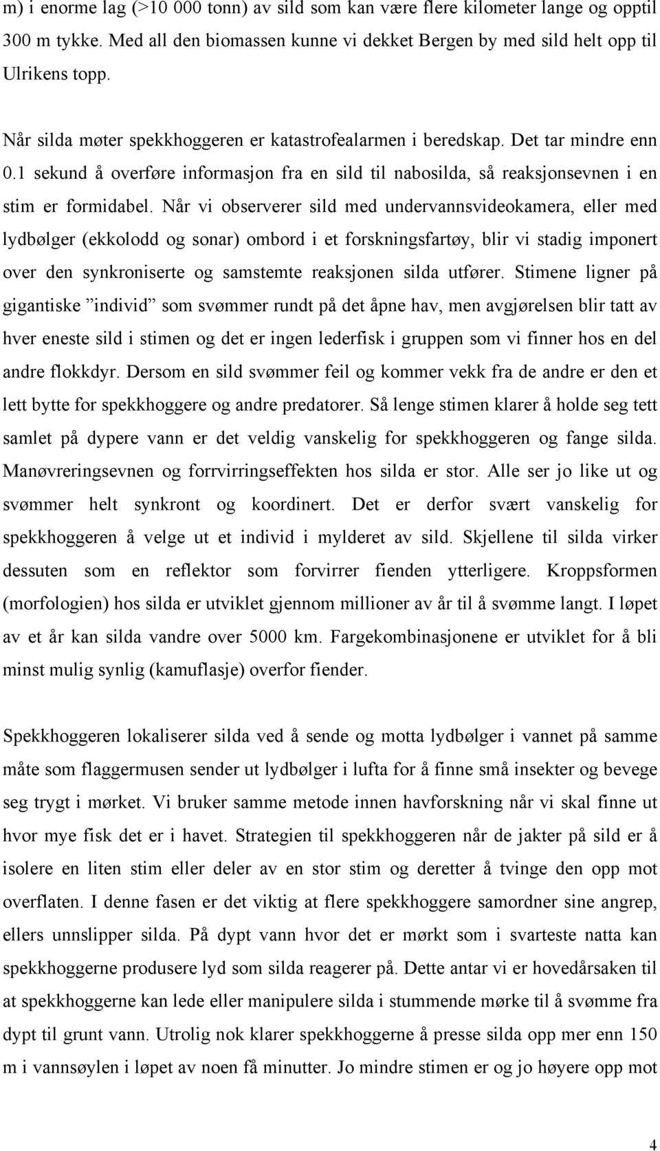 Når vi observerer sild med undervannsvideokamera, eller med lydbølger (ekkolodd og sonar) ombord i et forskningsfartøy, blir vi stadig imponert over den synkroniserte og samstemte reaksjonen silda