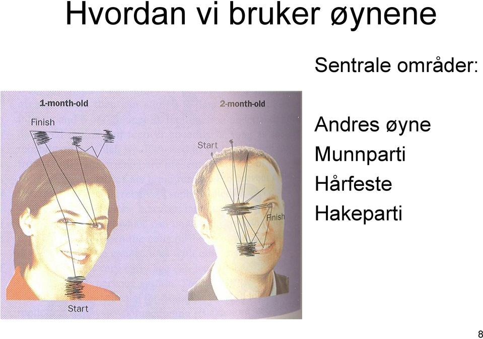 områder: Andres øyne