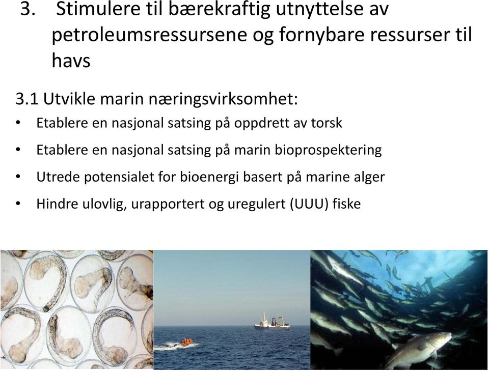 1 Utvikle marin næringsvirksomhet: Etablere en nasjonal satsing på oppdrett av torsk