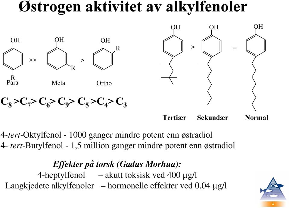 4- tert-butylfenol - 1,5 million ganger mindre potent enn østradiol Effekter på torsk (Gadus Morhua):