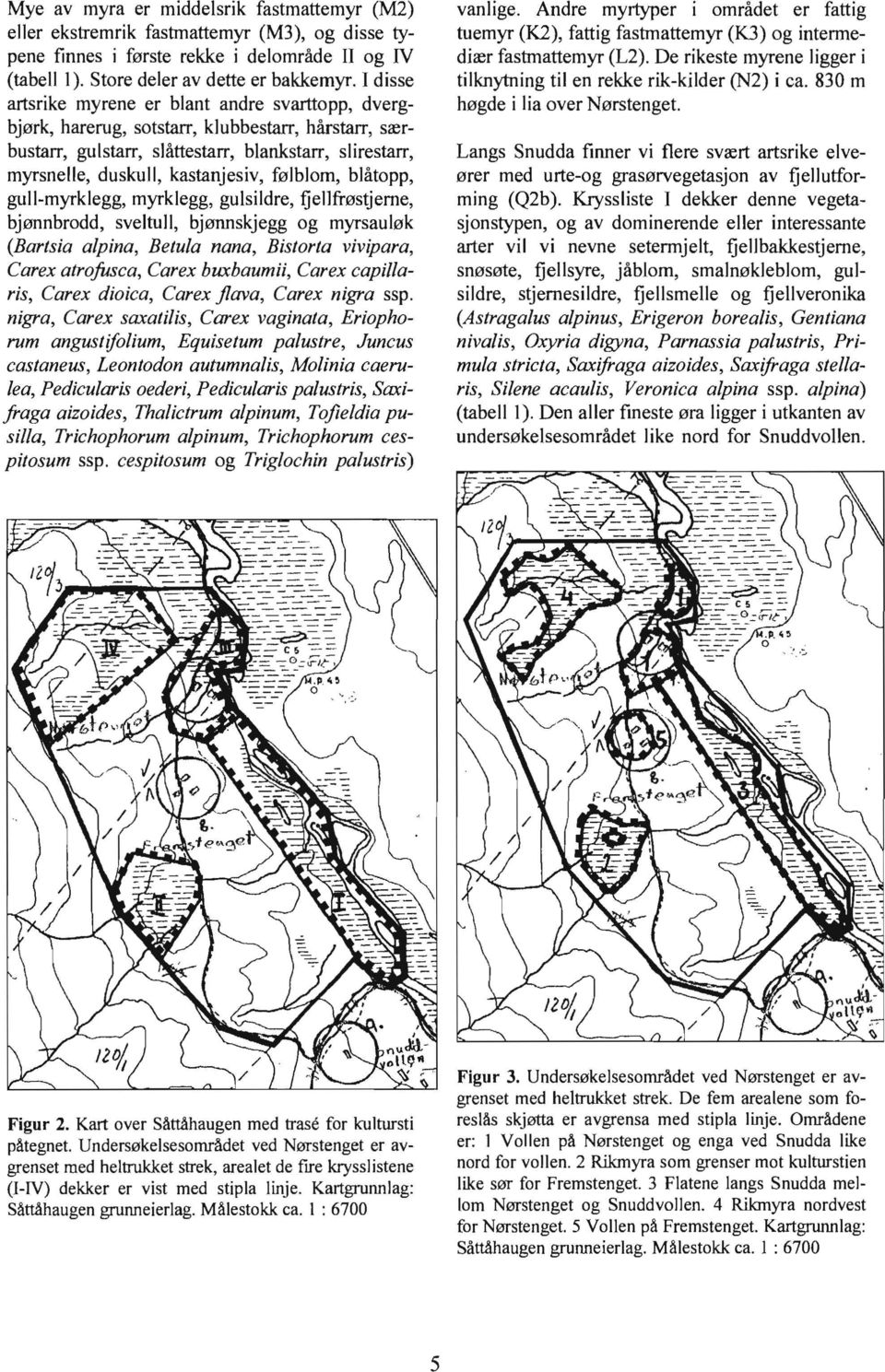 følblom, blåtopp, gull-myrklegg, myrklegg, gulsildre, fjellfrøstjerne, bjønnbrodd, sveltull, bjønnskjegg og myrsauløk (Bartsia alpina, Betula nana, Bistorta vivipara, Care atrofusca, Care bubaumii,