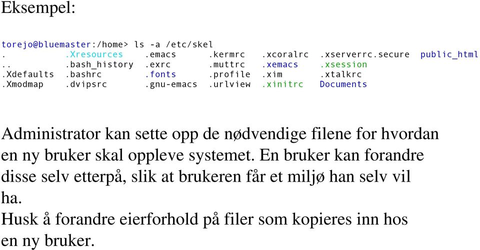 xinitrc Documents Administrator kan sette opp de nødvendige filene for hvordan en ny bruker skal oppleve systemet.