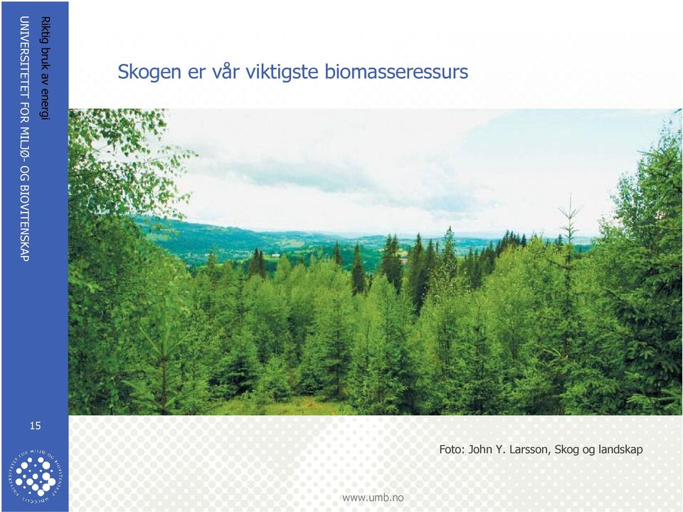 Larsson, Skog og landskap