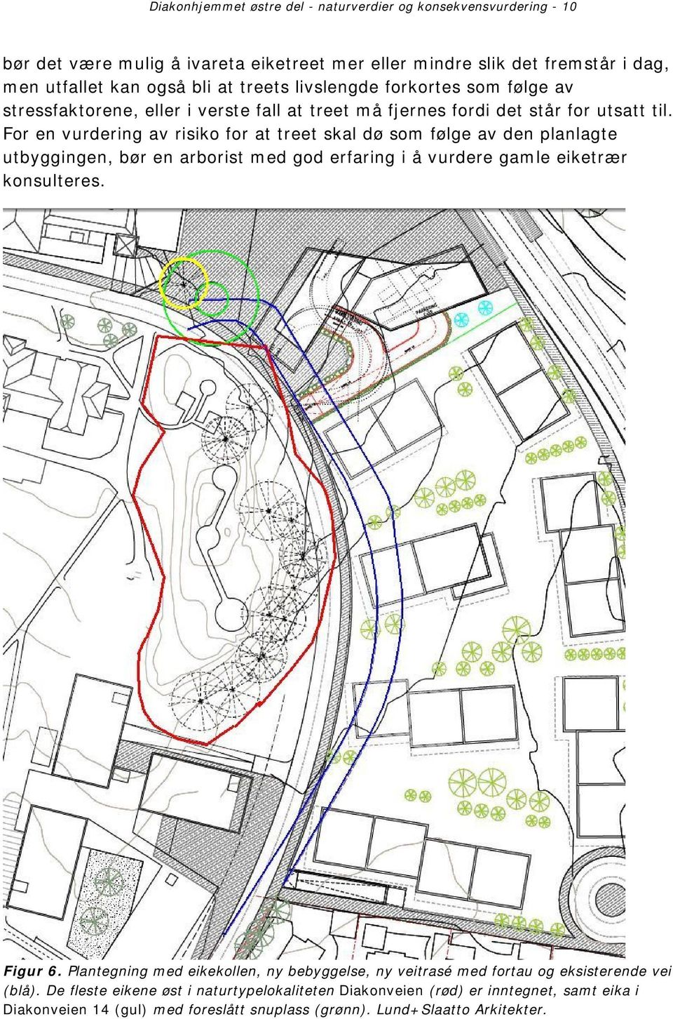 For en vurdering av risiko for at treet skal dø som følge av den planlagte utbyggingen, bør en arborist med god erfaring i å vurdere gamle eiketrær konsulteres. Figur 6.