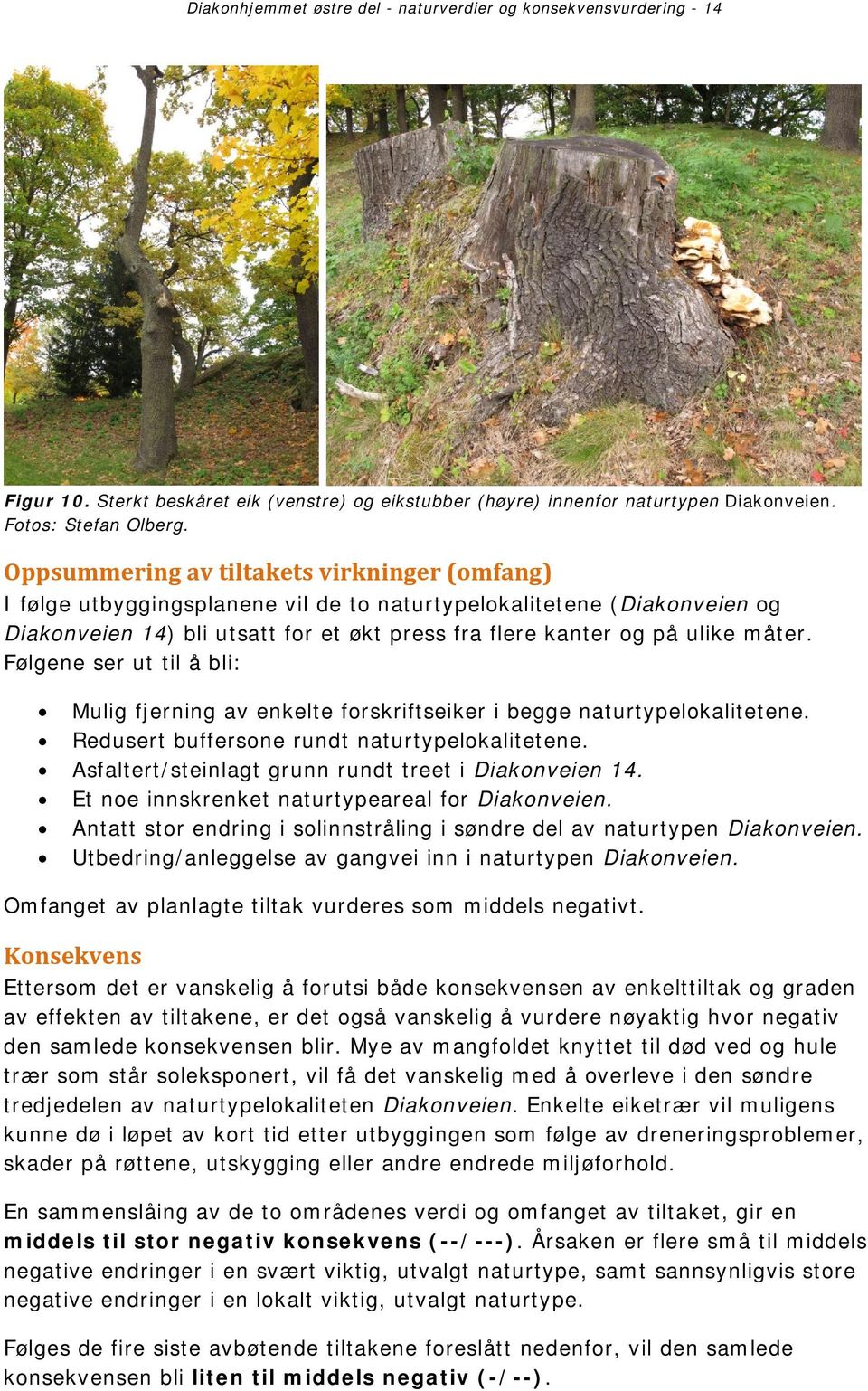 Følgene ser ut til å bli: Mulig fjerning av enkelte forskriftseiker i begge naturtypelokalitetene. Redusert buffersone rundt naturtypelokalitetene.