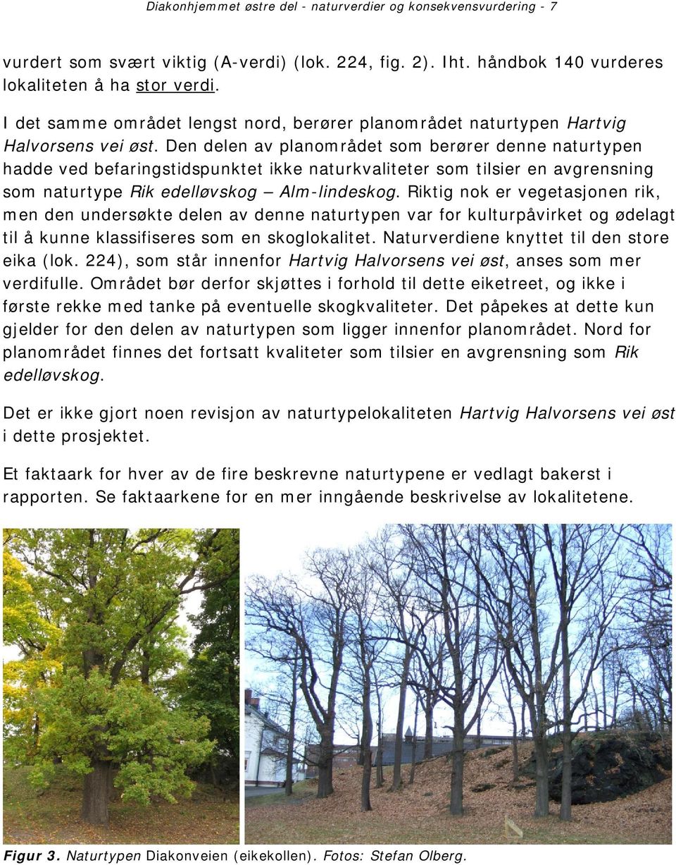 Den delen av planområdet som berører denne naturtypen hadde ved befaringstidspunktet ikke naturkvaliteter som tilsier en avgrensning som naturtype Rik edelløvskog Alm-lindeskog.