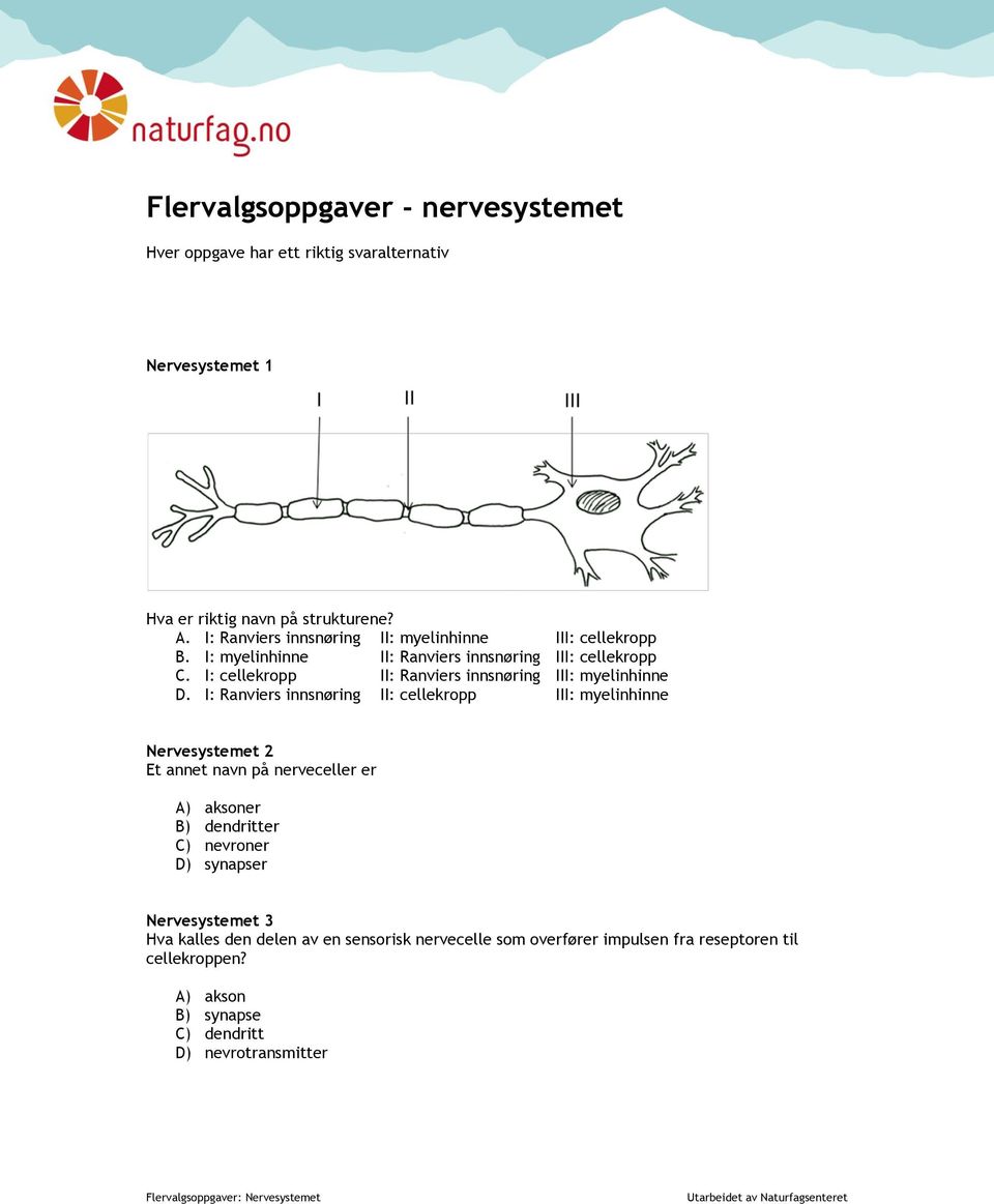 I: cellekropp II: Ranviers innsnøring III: myelinhinne D.