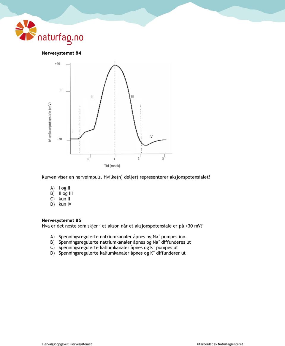 aksjonspotensiale er på +30 mv? A) Spenningsregulerte natriumkanaler åpnes og Na + pumpes inn.